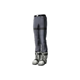 Legs