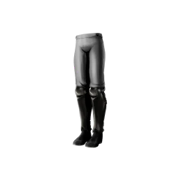 Legs
