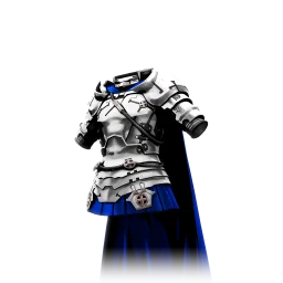 Chest