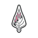 Palpa Leaf
